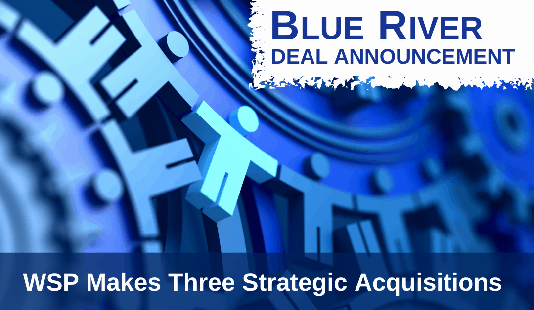 Blue River Advises Wholesale Supplies Plus On Strategic Acquisitions