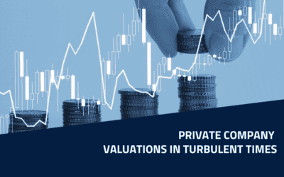 Private Company Valuations in Turbulent Times